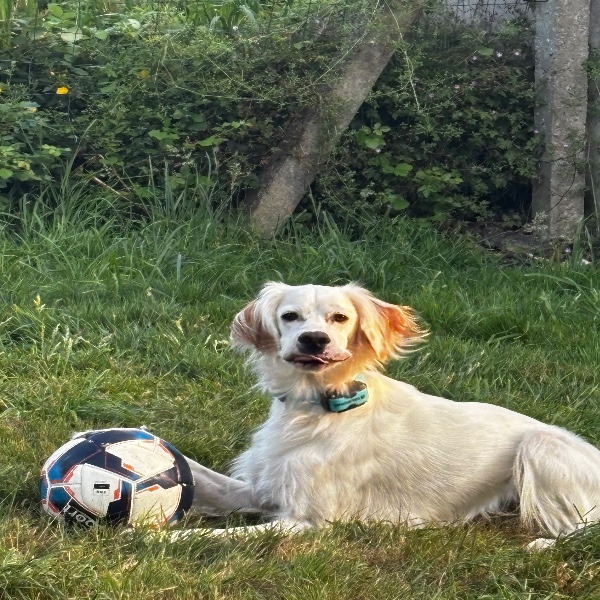 Marcel