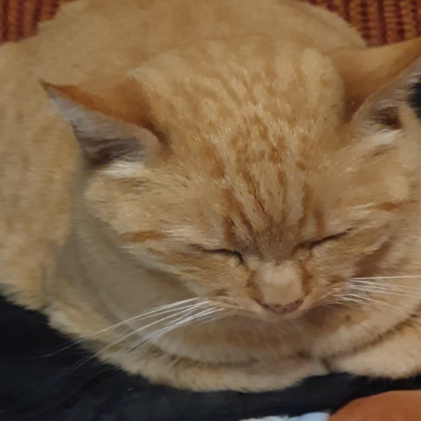 Zoe