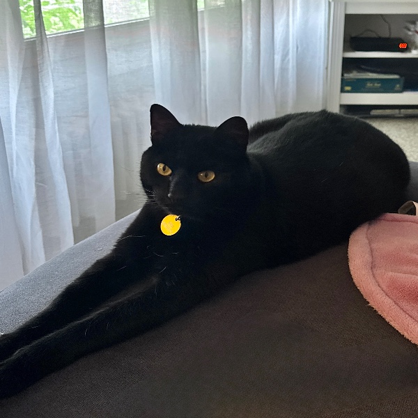 Salem
