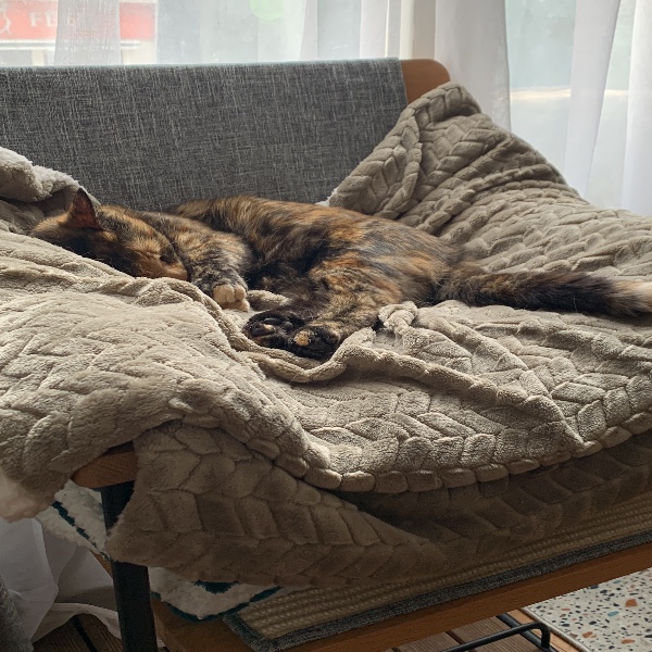 Fauve