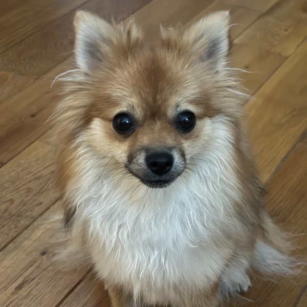 Minnie