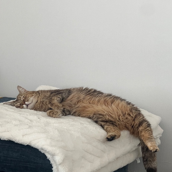 Luna