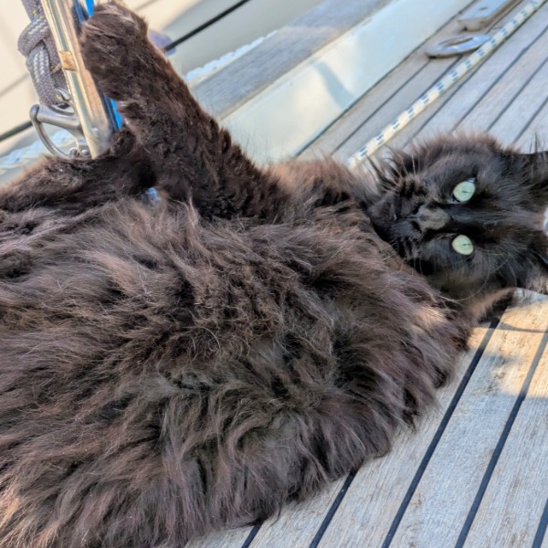 Mooki