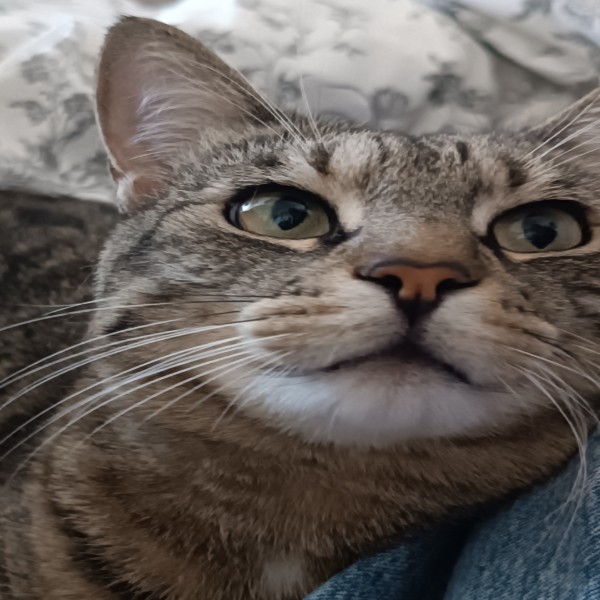 Gloria