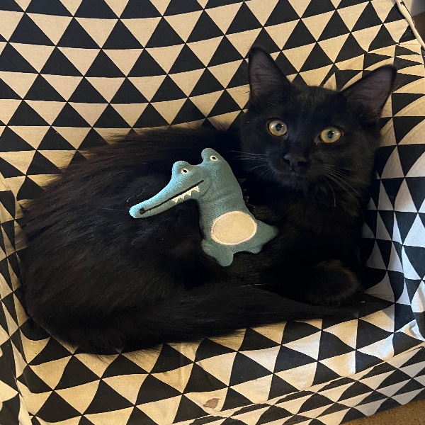 Salem