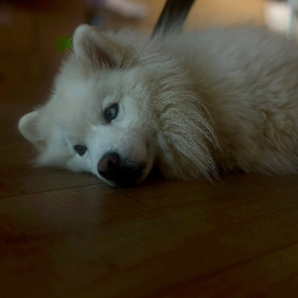 Max