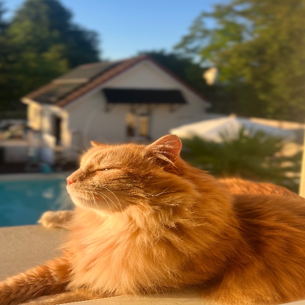 Jacques