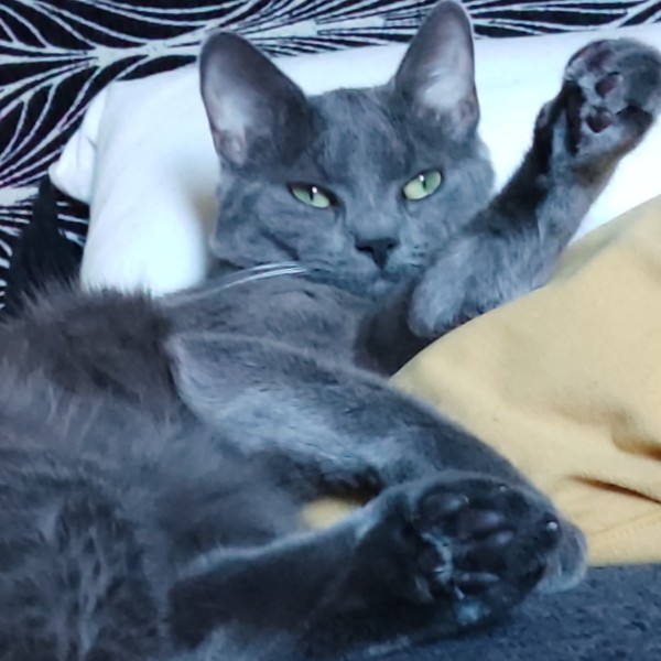 Sirius
