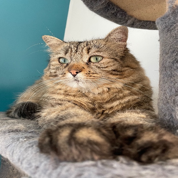 Titinette (Mimi)