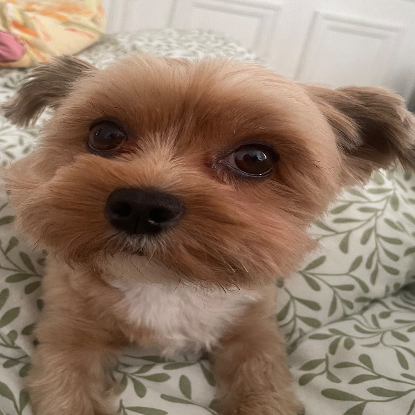 Milka