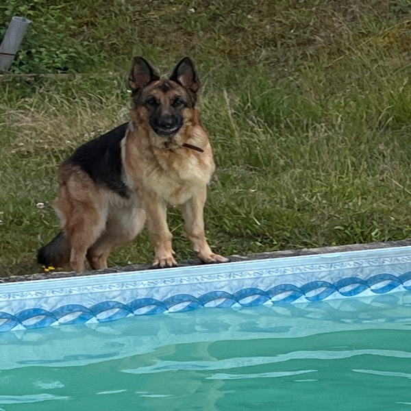 Tam