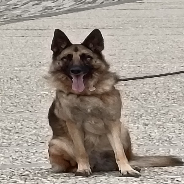 Ruby