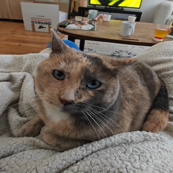 Hanoï