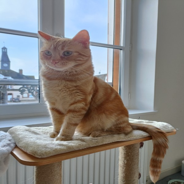 Caramel