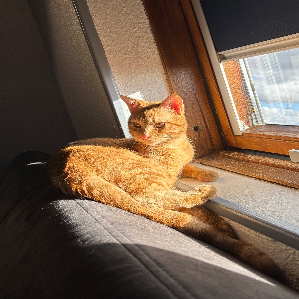 Croquette