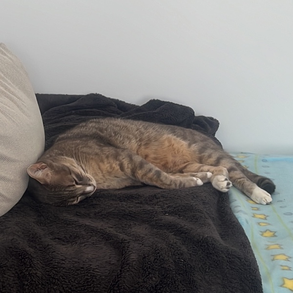 Leo