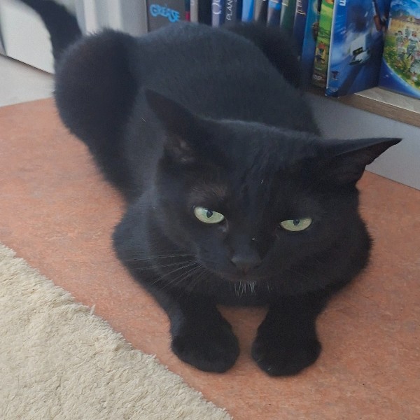 Milo