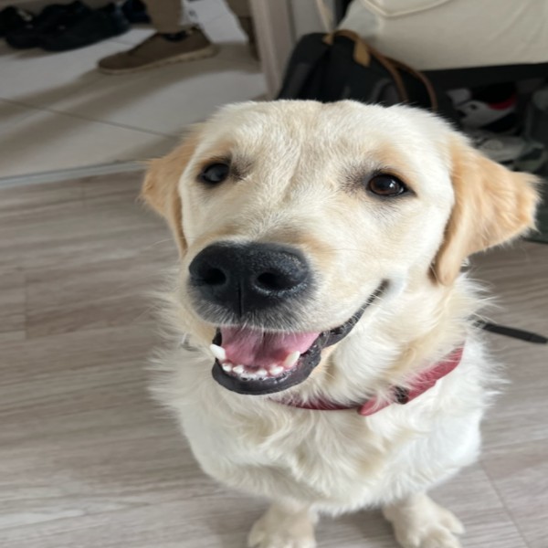 Carlos