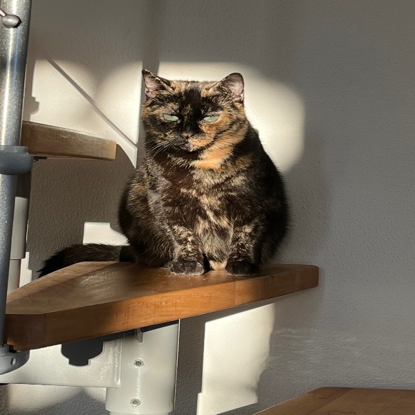 Lulu
