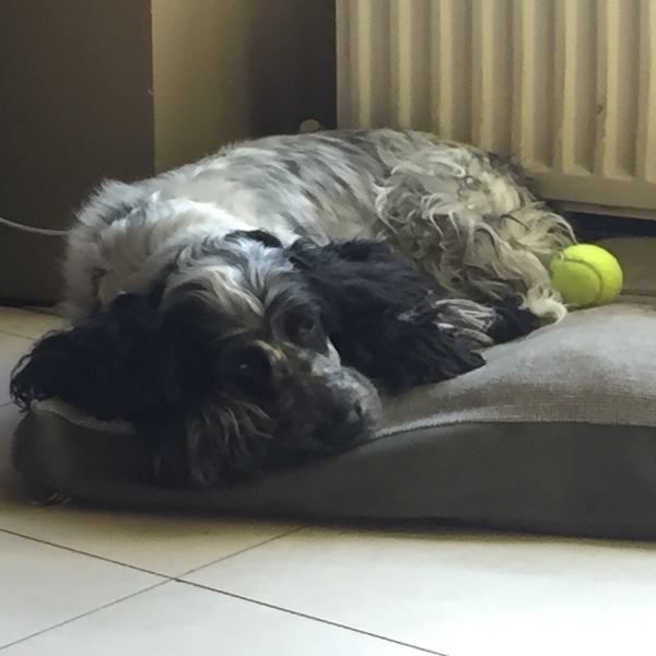 Juliette