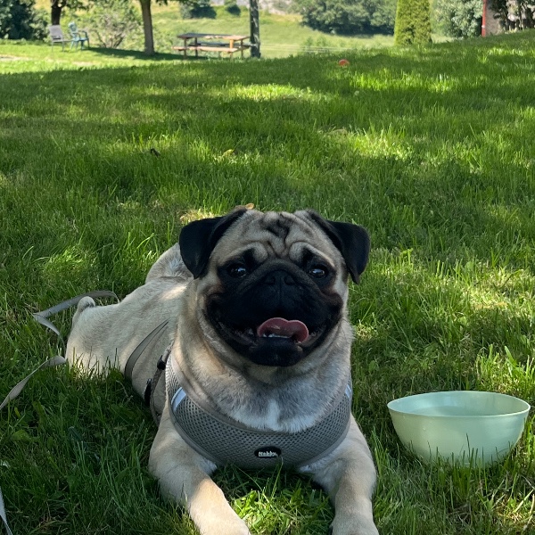 Marvin