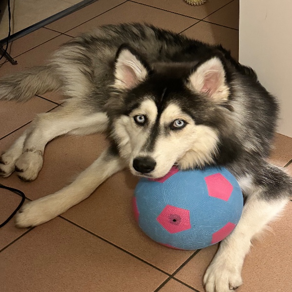 Louna