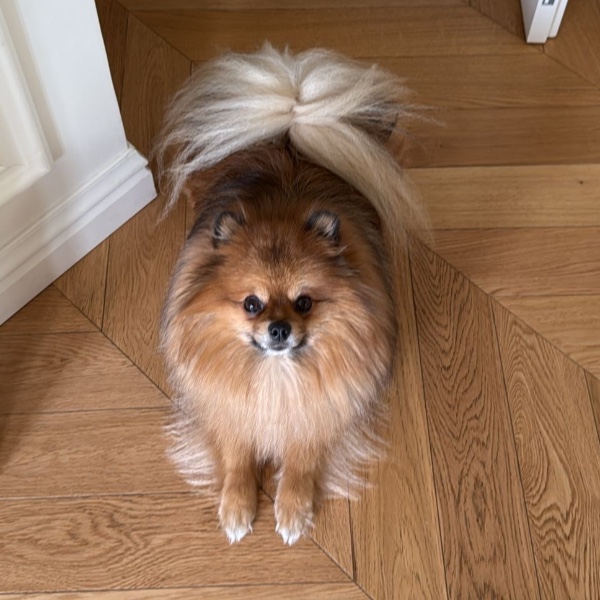 Winnie