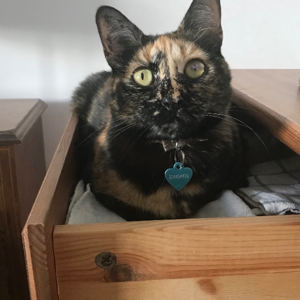 Nina