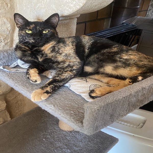 Kiara