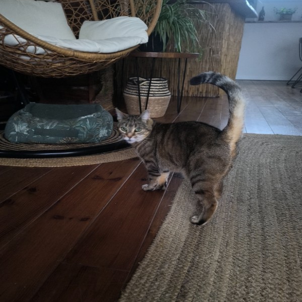 Lila