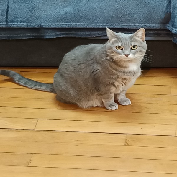 Théa
