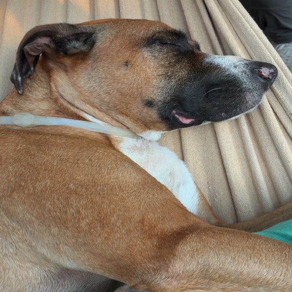 Tyson