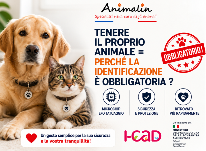 🆔 Far custodire il proprio animale: perché l'identificazione è obbligatoria? La guida completa (2026)