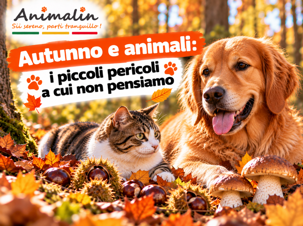 10 pericoli da conoscere per proteggere il tuo cane o il tuo gatto