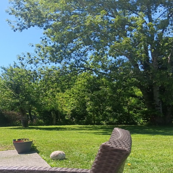Foto dell'alloggio