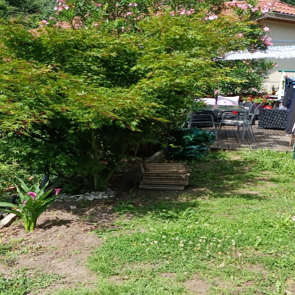 Foto dell'alloggio