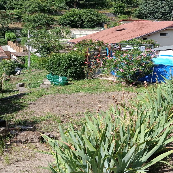 Foto dell'alloggio