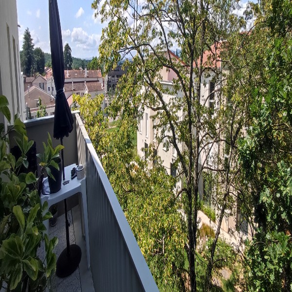 Foto dell'alloggio