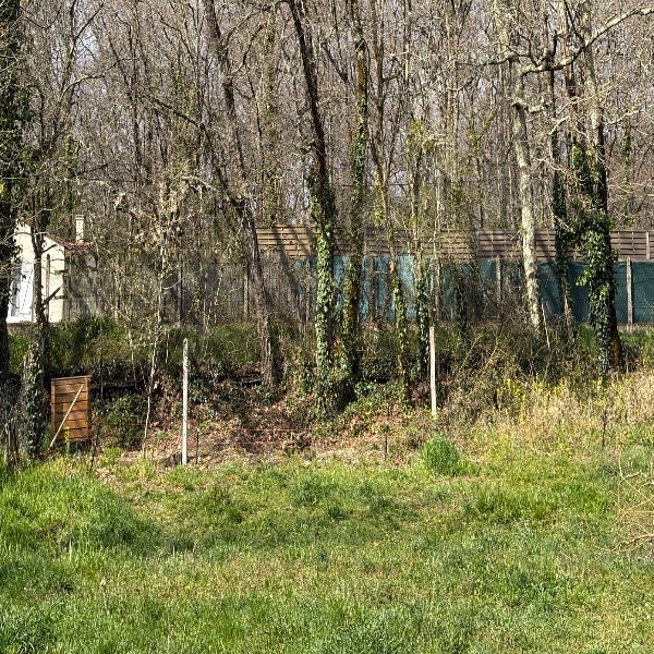 Foto dell'alloggio