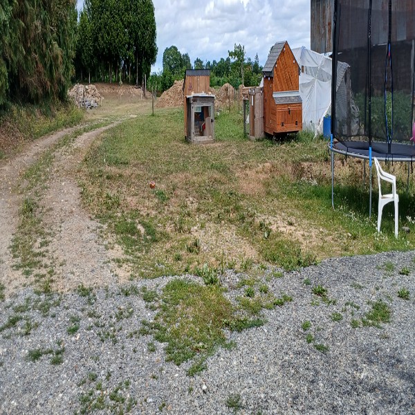 Foto dell'alloggio