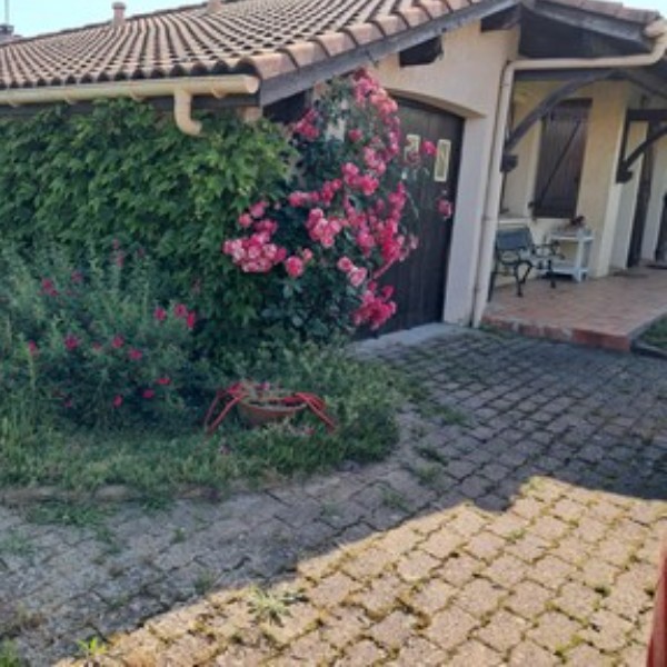 Foto dell'alloggio