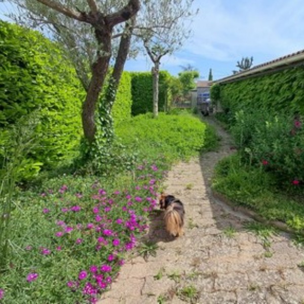 Foto dell'alloggio