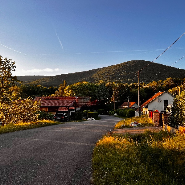 Foto dell'alloggio