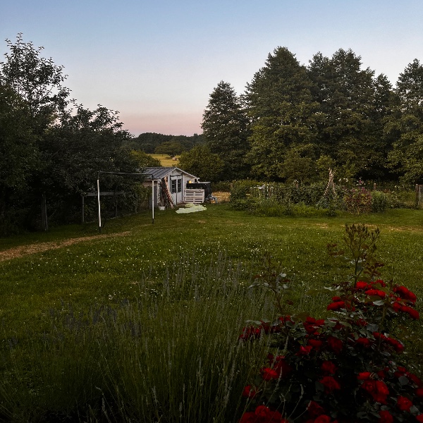 Foto dell'alloggio
