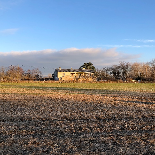 Foto dell'alloggio
