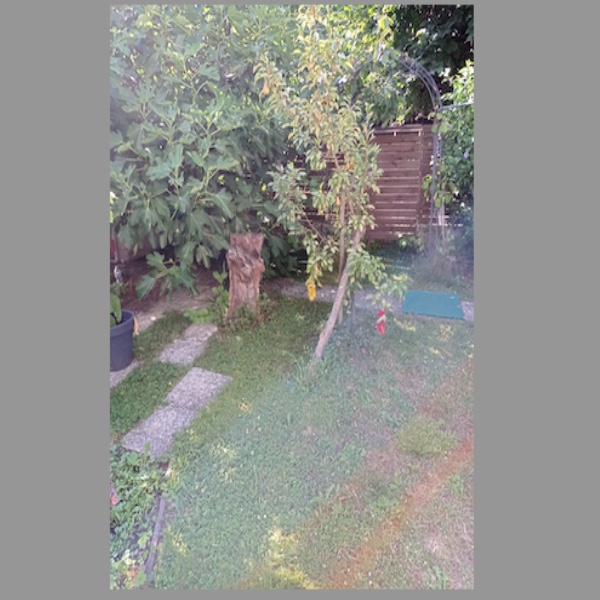 Foto dell'alloggio