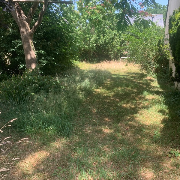 Foto dell'alloggio