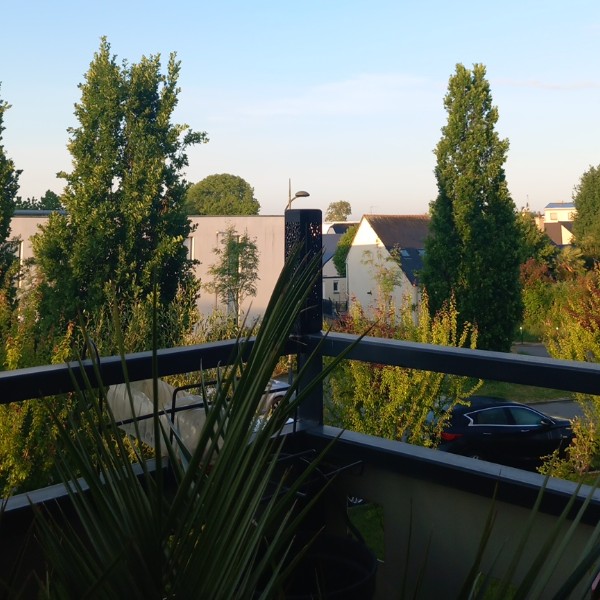 Foto dell'alloggio