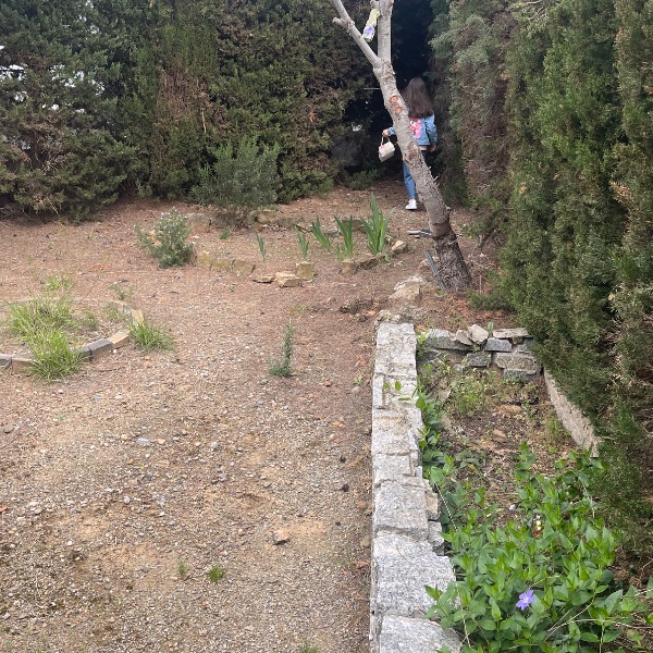 Foto dell'alloggio