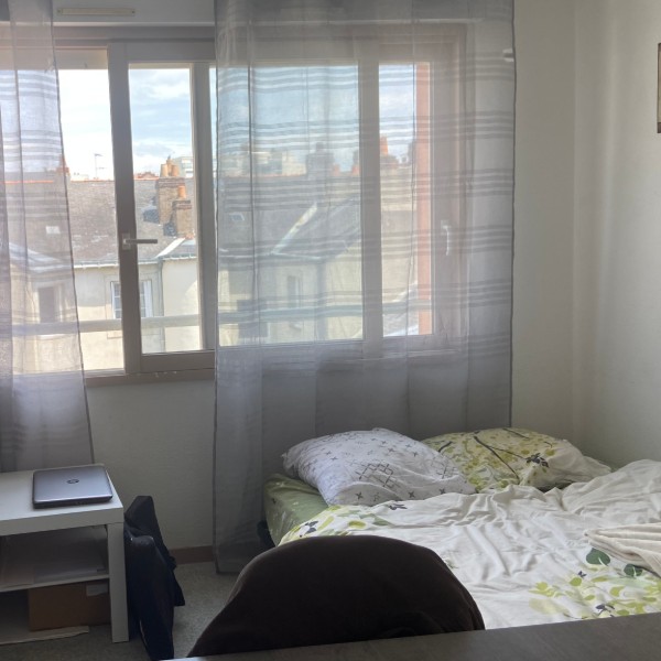Foto dell'alloggio